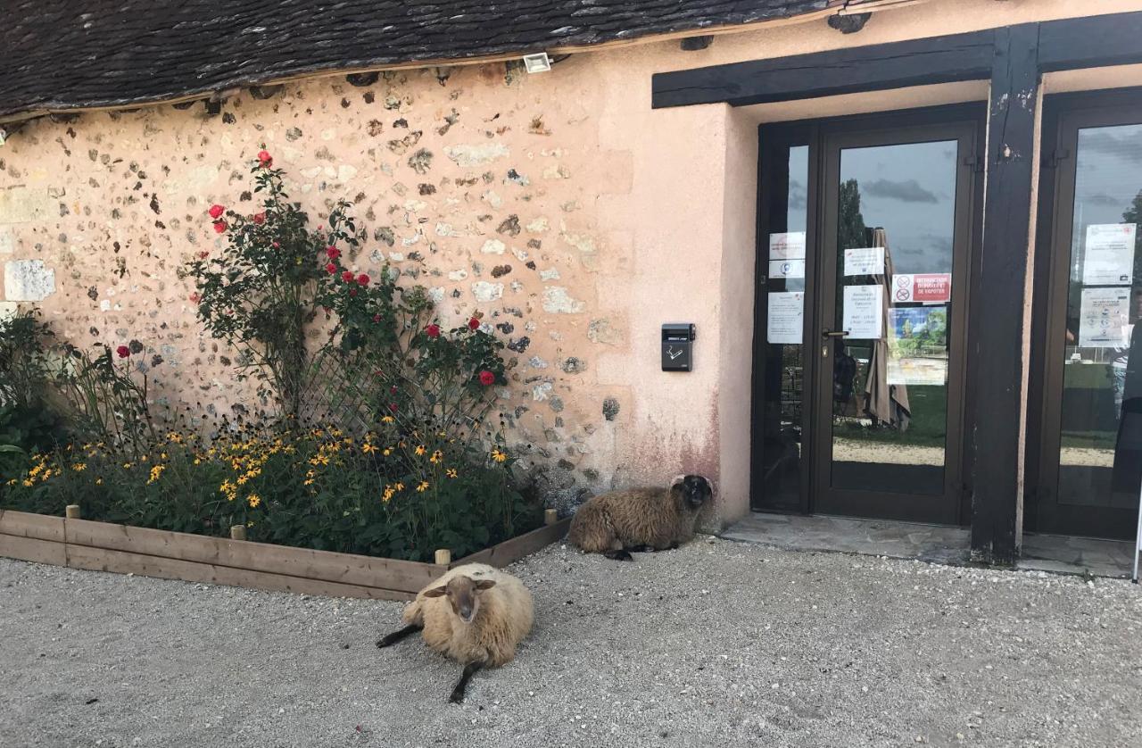 Le Domaine Du Bois Coquet Hotel La Douze Kültér fotó