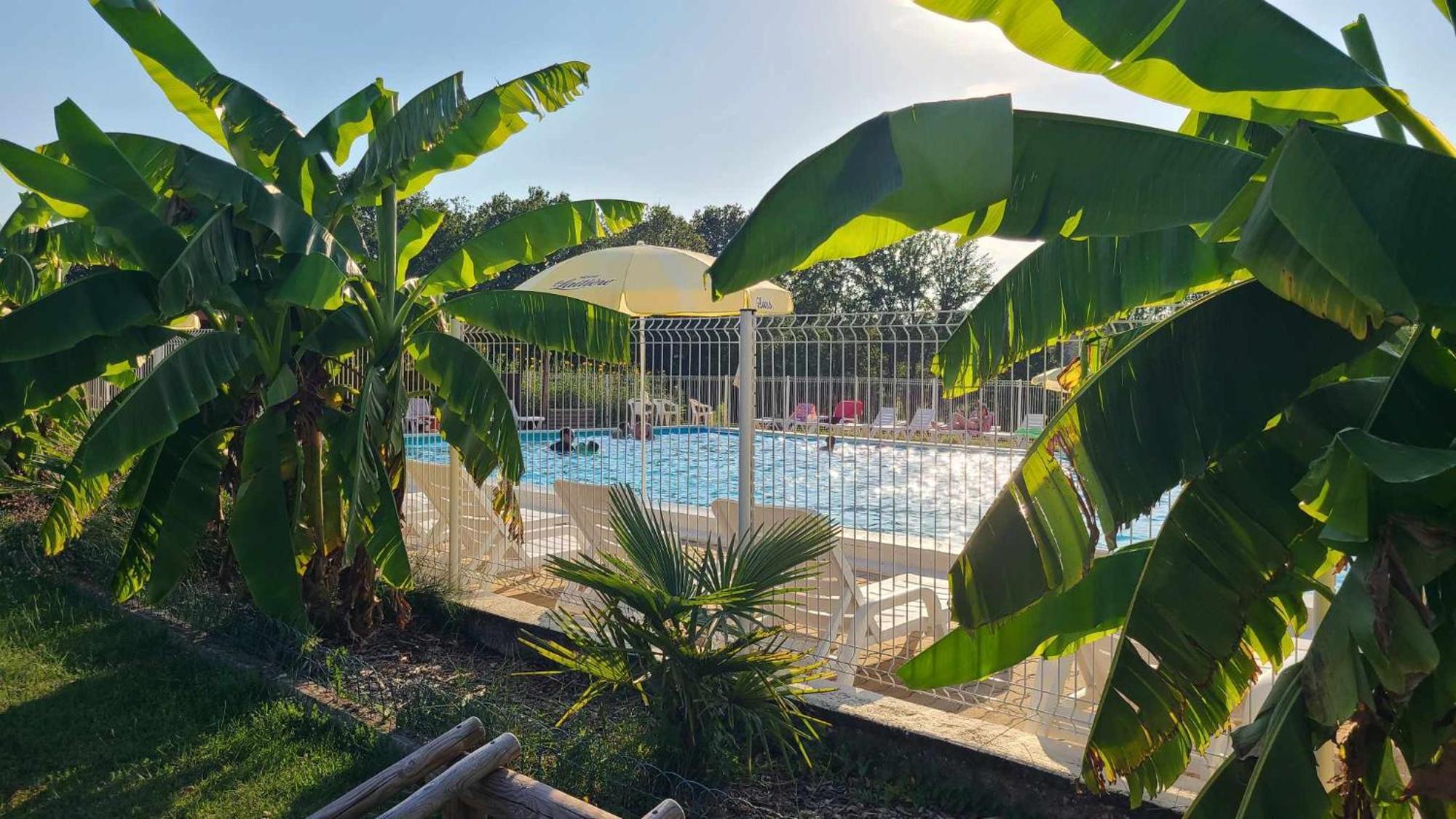 Le Domaine Du Bois Coquet Hotel La Douze Kültér fotó